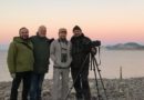 Rarebirds Swarovski Optik Birdracing Team participarà en el Global Big Day 2018